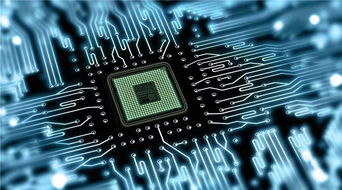 澳洲留學計算機方向選擇指南 IT、CS與軟件工程的差異詳解